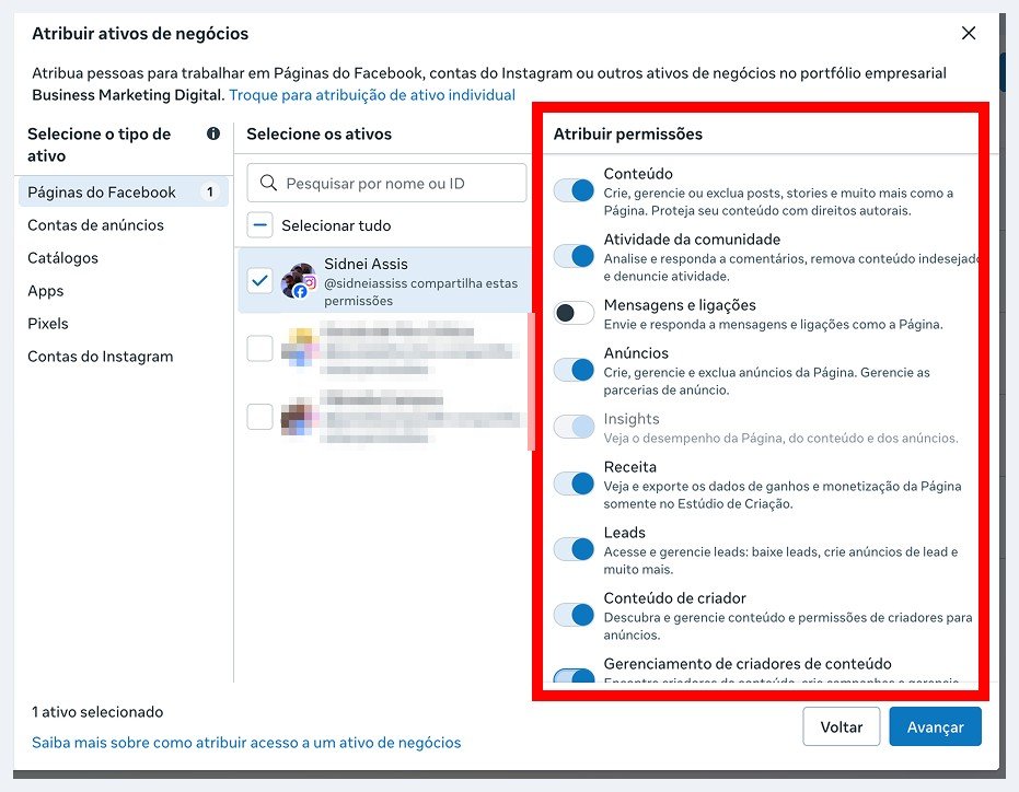 Tela de atribuir ativos de negócios com a Página marcada e a coluna de permissões destacada à direita